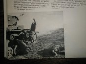 PB060766.jpg