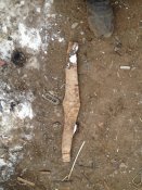 IMG_1469.JPG