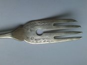 20170208_124255.jpg