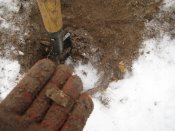 IMG_0019.JPG