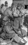Ger_Archiv_3_1.jpg