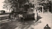 Ger_Archiv_28_1.jpg