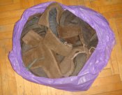 DSC08169.JPG