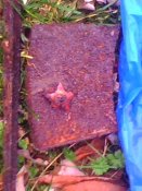 IMG0048A.jpg