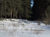 DSCN8860.JPG