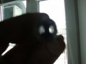 DSC05194.JPG