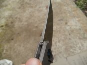 image.jpeg