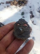 20170219_141648.jpg