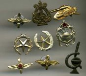 img117.jpg