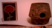 IMG0502A.jpg