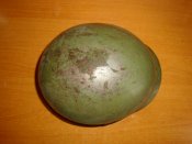 DSC07943.JPG