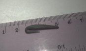 IMAG0169.jpg