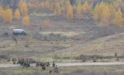IMG_9376.JPG