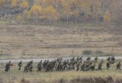 IMG_9383.JPG