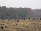 IMG_9399.JPG