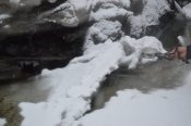 DSC_0528.JPG
