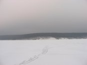 IMG_0089.JPG