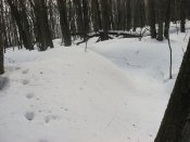 IMG_0096.JPG