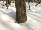 IMG_0110.JPG