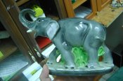 DSC02517.JPG