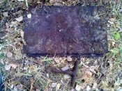 28102011851.jpg