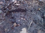 Photo-0041.jpg