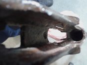 20170223_093115.jpg