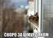mdCzUl38mZw.jpg