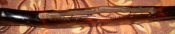 DSCN2104.jpg