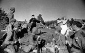 2RIA-6429-Preview.jpg