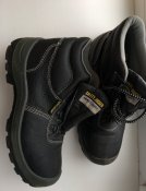 IMG_0747.jpg