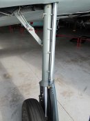 IMG_0555.jpg