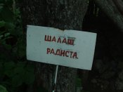 DSCF6459 г.Юки-Тепе.jpg