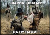нюхай.jpg