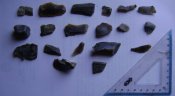 DSC07453.JPG