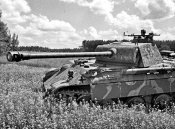 Pz.Kpfw.V Ausf.A Пантера из 5-й тд СС Wiking. 1944 год..jpg