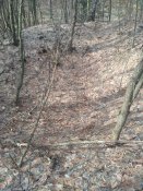 IMG_20170226_115622.jpg
