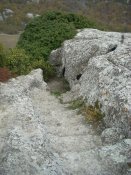 x_b1502681.jpg