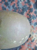 IMG_20170227_142042.jpg