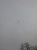 20170226_112638.jpg