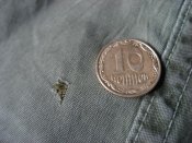 IMG_8234.jpg
