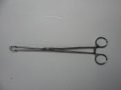DSCN6285.JPG