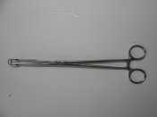 DSCN6286.JPG