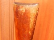 RSCN9871.JPG