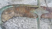 20170228_142808.jpg
