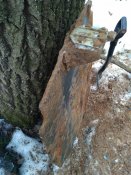 IMG_20170228_161858.jpg