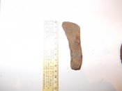 DSCN0070.JPG