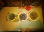 IMG_20170228_223613.jpg