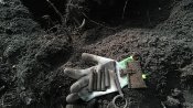 IMG_20170301_140318.jpg