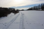IMG_1158 (Копировать).JPG